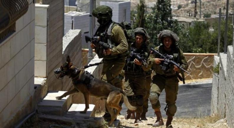 Les forces d’occupation attaquent des maisons et s’emparent des sommes d’argent à Jénine