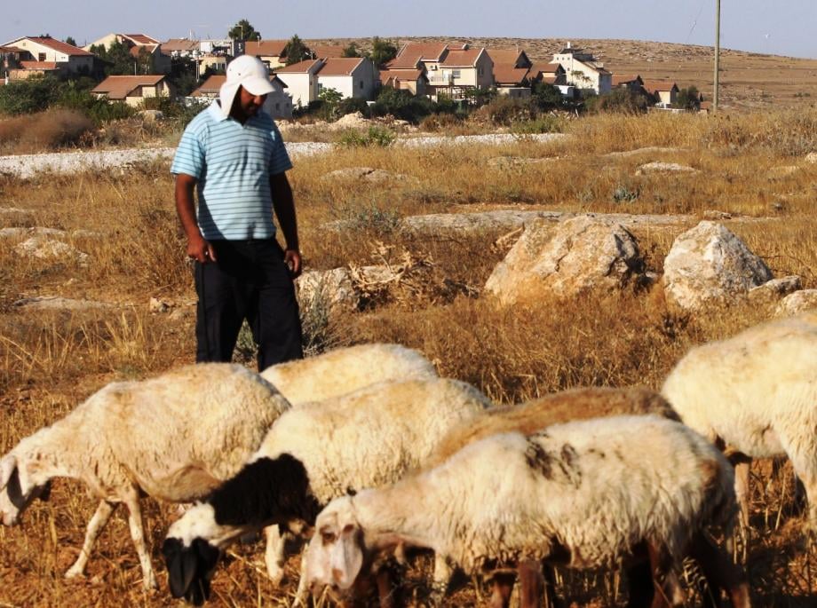 Les colons juifs attaquent les bergers près d'Hébron