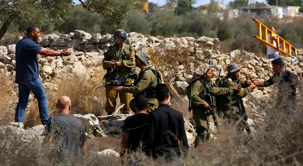 L'armée d'occupation empêche les agriculteurs de récolter les olives à l'est de Naplouse