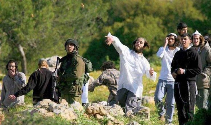Des colons israéliens attaquent des maisons palestiniennes dans un quartier à Hébron
