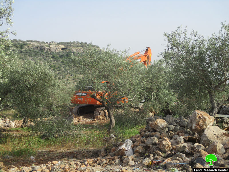 L’occupation saisit 120 plants à Masafer Yatta