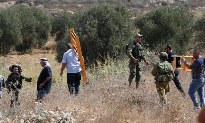 Salfit : les gangs de colons attaquent les bergers palestiniens  
