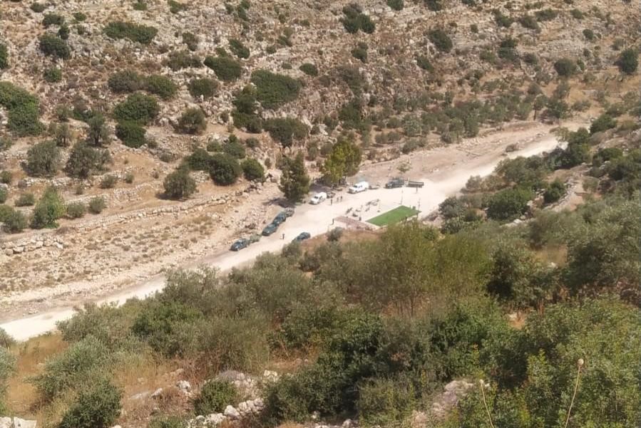L'occupation démolit un parc et détruit des arbres à l'ouest de Salfit