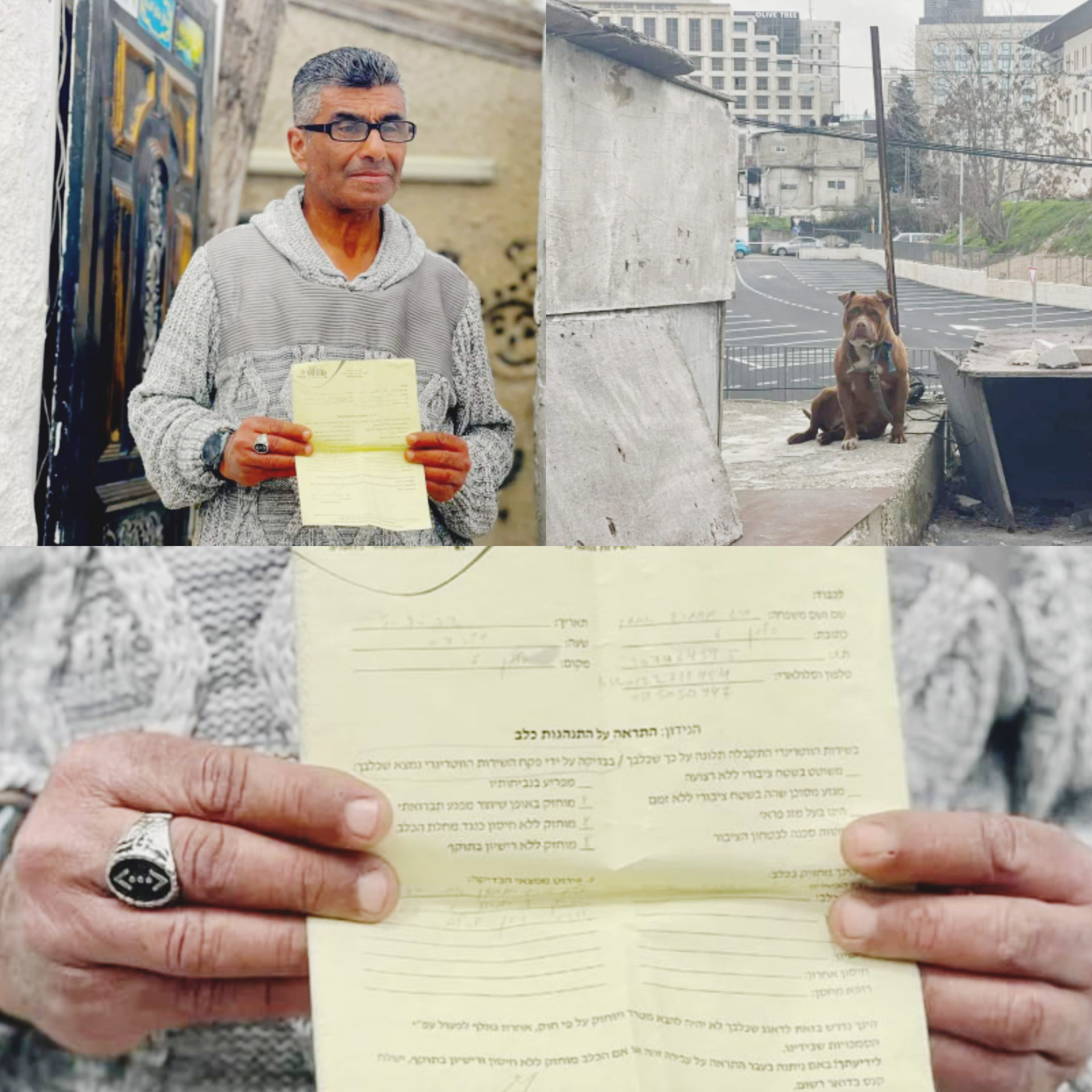 La police israélienne ordonne au Palestinien de Sheikh Jarrah de se débarrasser de son chien