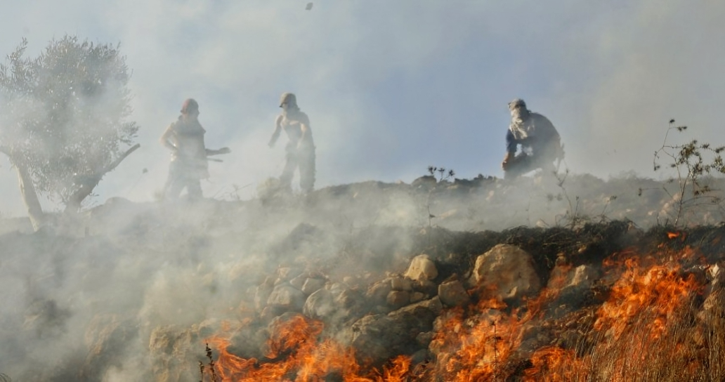 Des colons israéliens mettent le feu aux oliviers à Bethléem