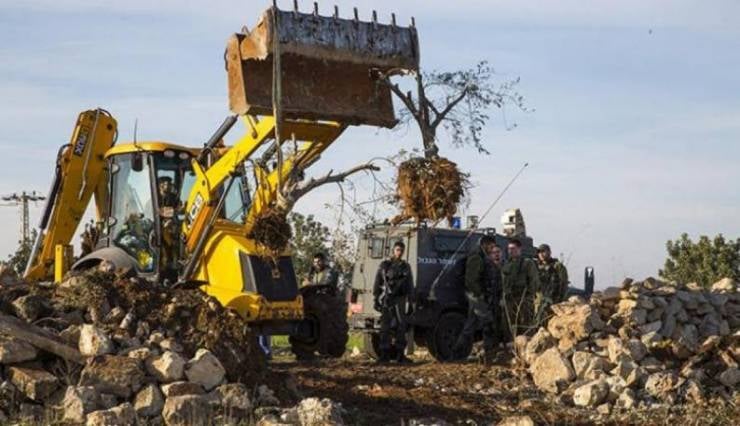 Les bulldozers de l’occupation rasent des terres et déracinent des oliviers à Ramallah
