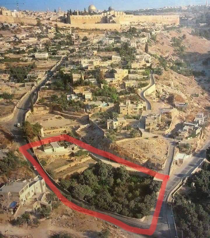 Jérusalem : Des colons saisissent des terres à Wadi Hilweh