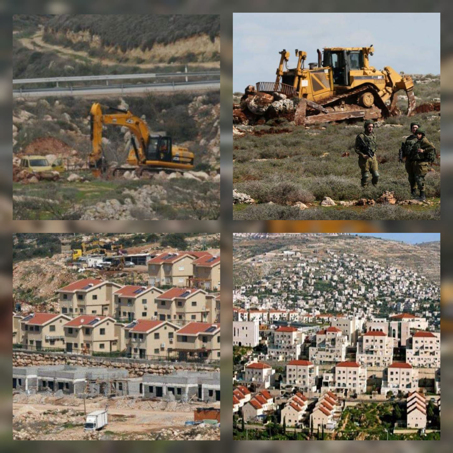 Des colons rasent des terres palestiniennes au profit de l’expansion coloniale à Hébron 