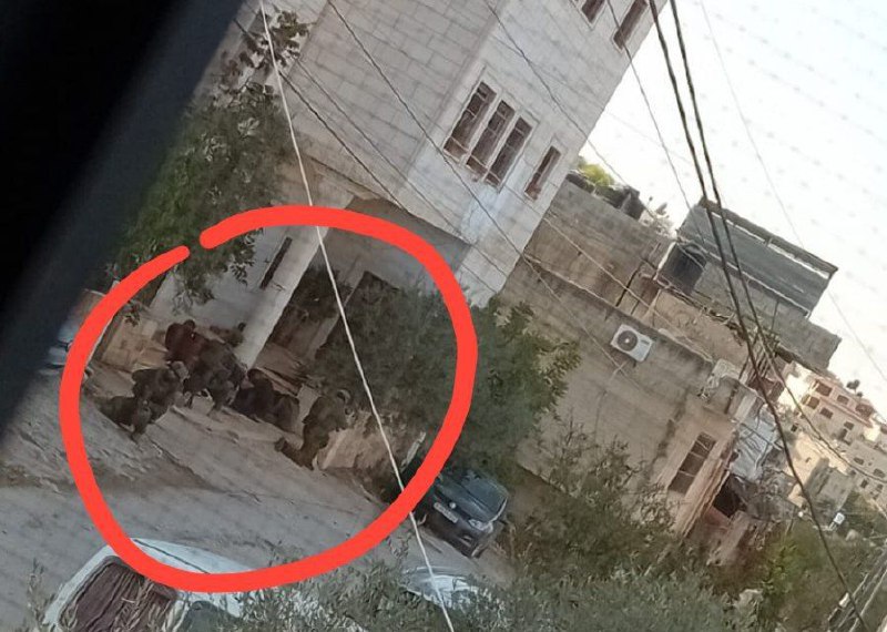 Jénine : les forces de l’occupation encerclent une maison  