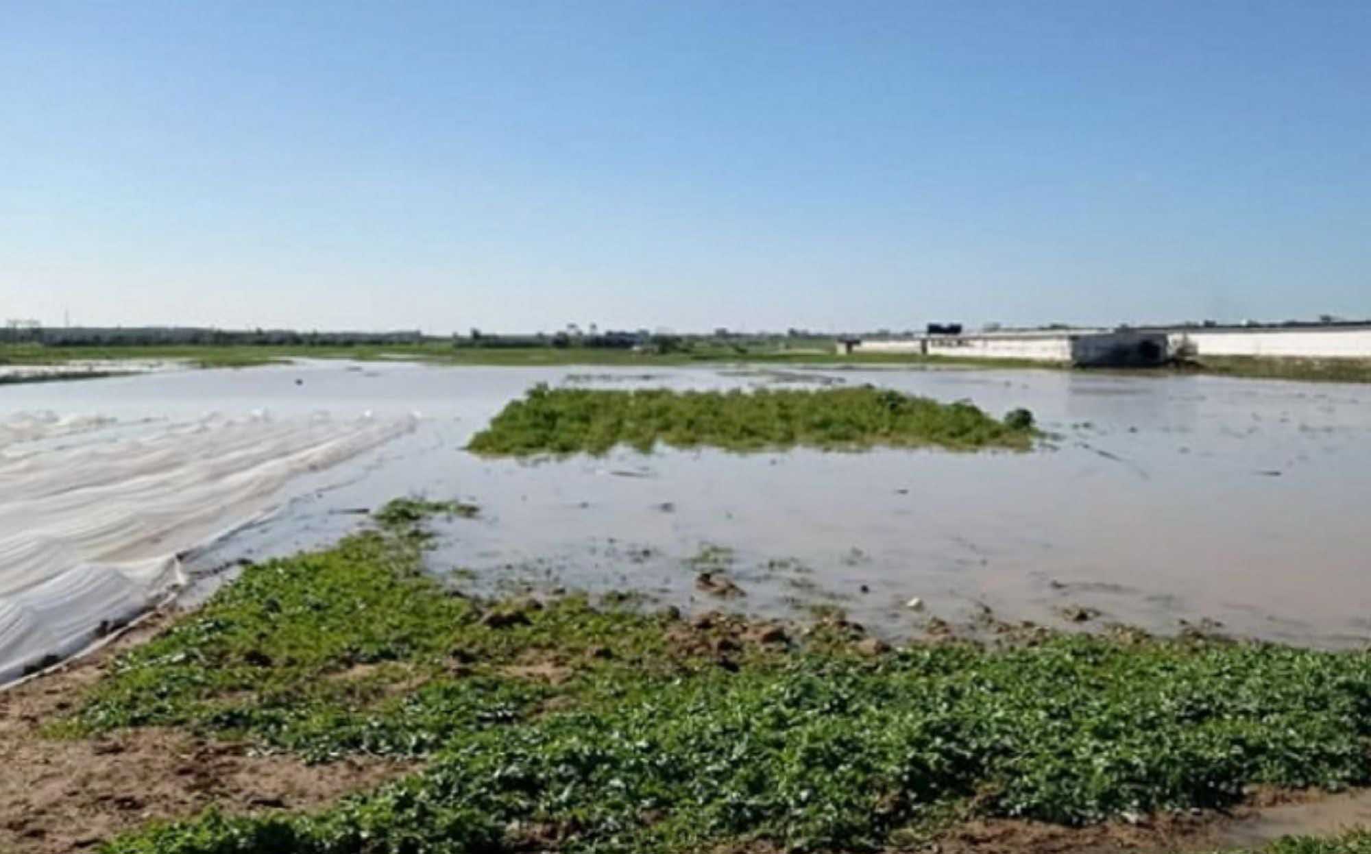 Les forces d’occupation israéliennes ouvrent les vannes de barrages sur les terres agricoles dans la bande de Gaza