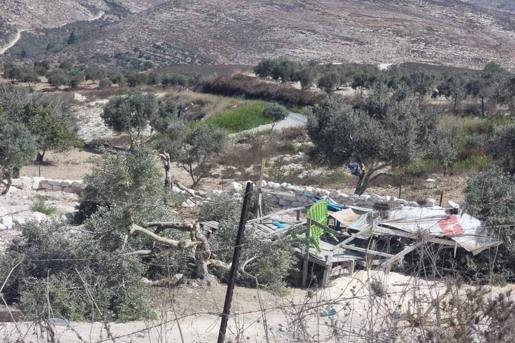 Des colons israéliens déracinent des oliviers et démolissent une serre agricole à Jénine