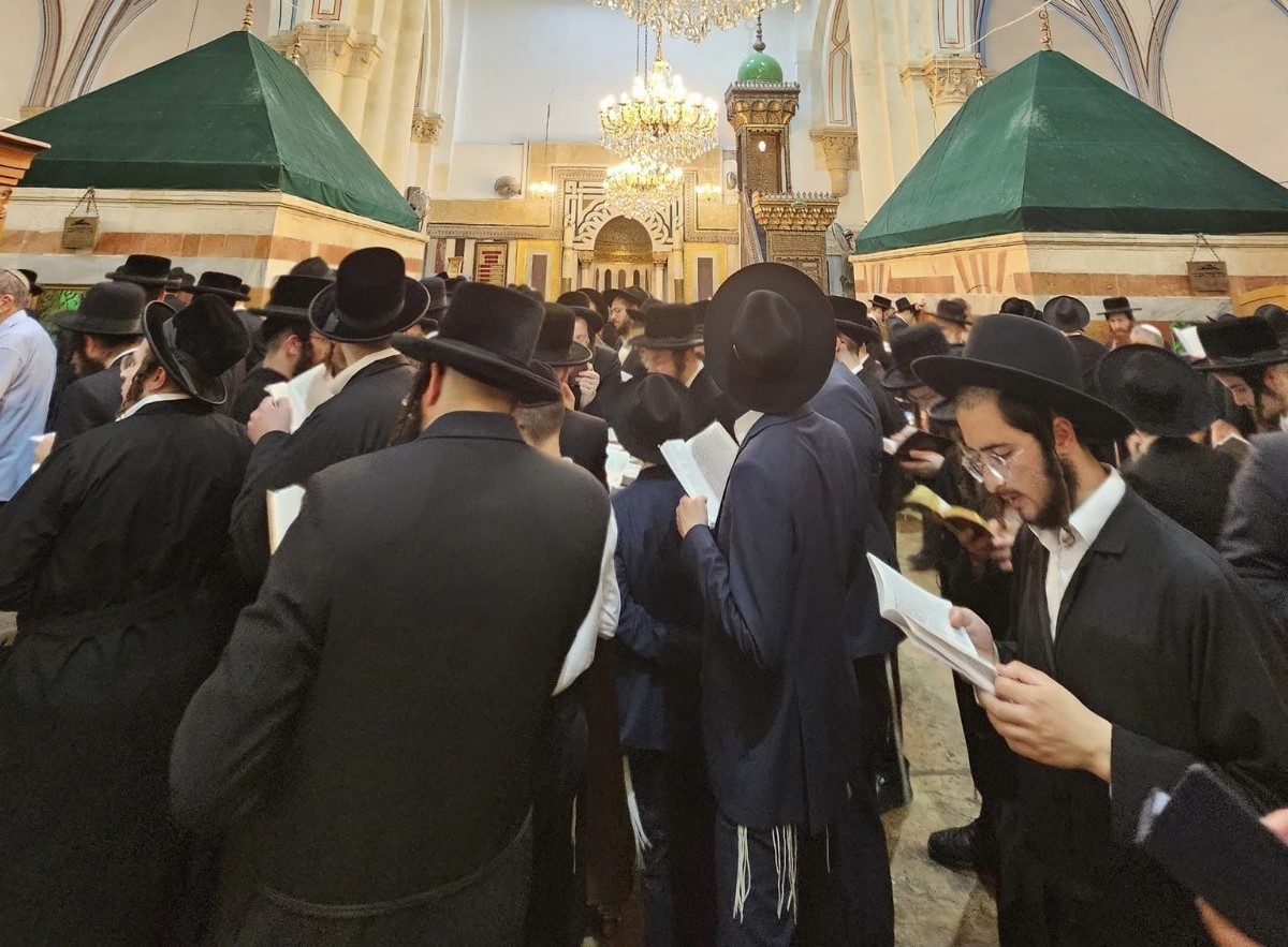 Des milliers de colons, protégés par les forces d'occupation, accomplissent des rituels provocateurs dans la mosquée Ibrahimi