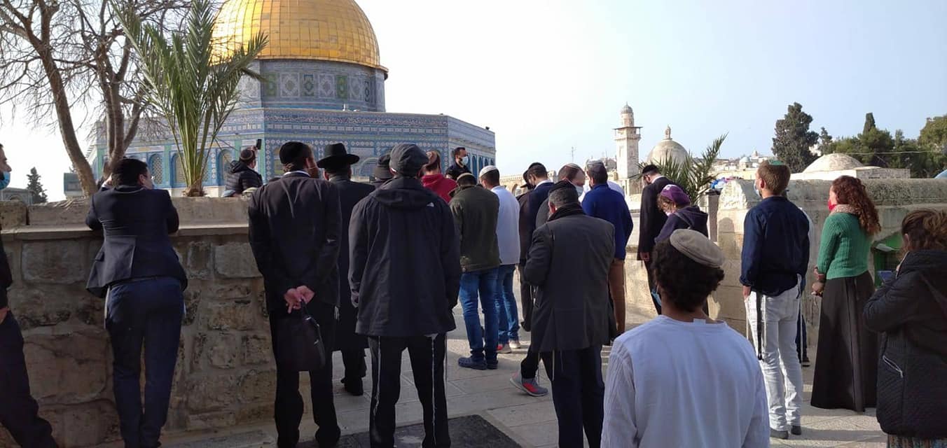 Des colons, protégés par les soldats d’occupation, prennent d'assaut la mosquée Al-Aqsa