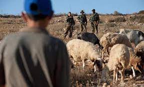 Des colons attaquent des éleveurs de moutons dans le nord de la vallée du Jourdain