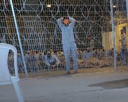 Le camp de « Sde Teman » est le plus grand site de crimes de torture contre les détenus de Gaza