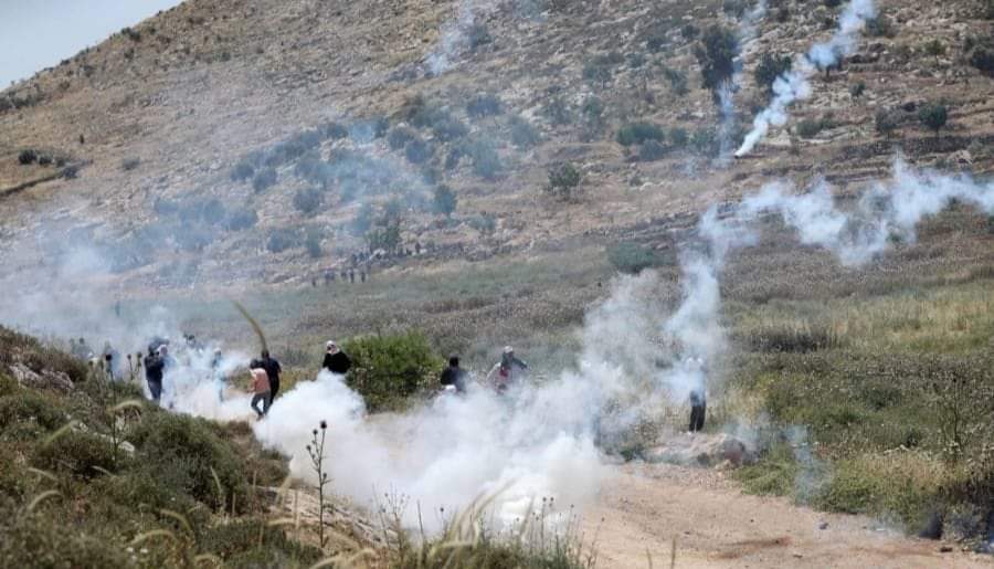 Les forces d’occupation répriment des manifestations anti-colonisation en Cisjordanie 