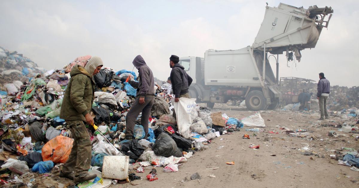  L'agression israélienne à Gaza détruit les composantes de la diversité biologique de la bande  