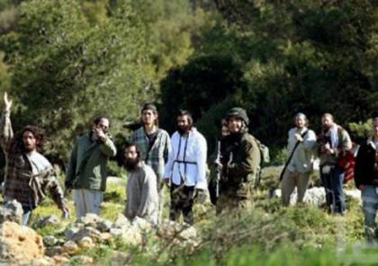 Les colons attaquent les cueilleurs des olives près de Bethléem