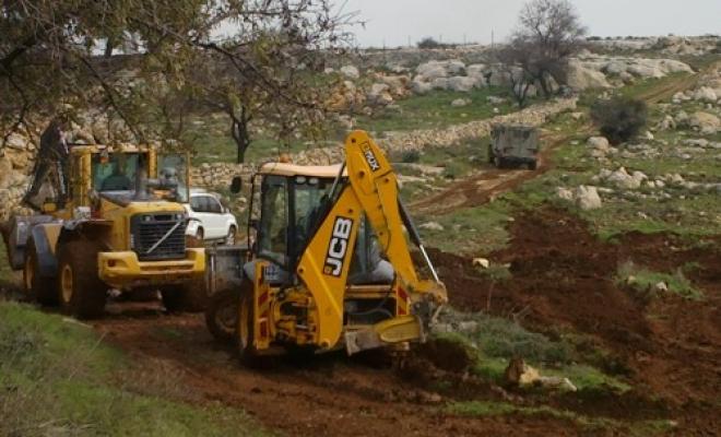Des colons continuent de raser les terres palestiniennes dans le nord de la vallée du Jourdain