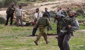 Des colons juifs expulsent les agriculteurs Palestiniens de leurs terres près de Naplouse