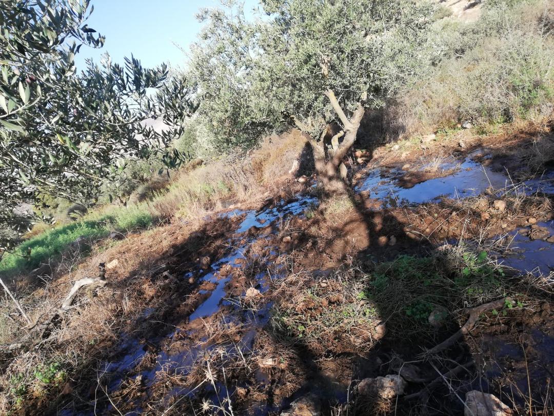 Des colons juifs inondent les terres de Palestiniens avec des eaux usées près de Naplouse