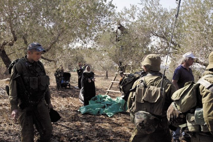 Pour le deuxième jour : l’occupation empêche les agriculteurs de récolter les olives près de Naplouse