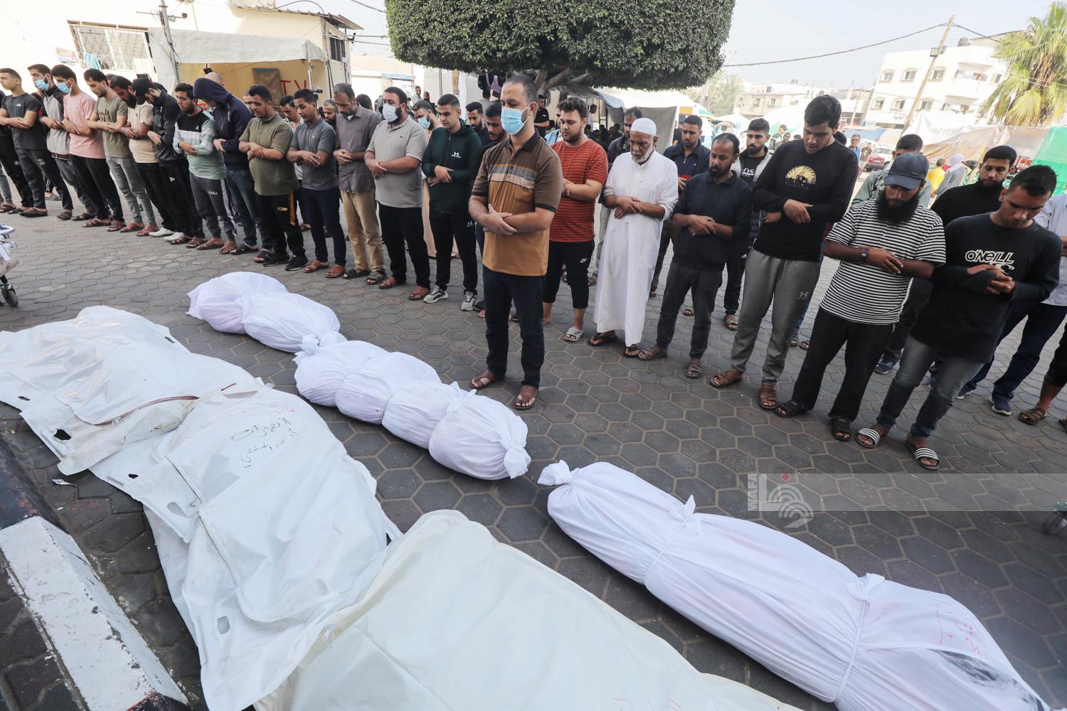 Le bilan du génocide israélien s’élève à 10678 martyrs et 28500 blessés palestiniens  