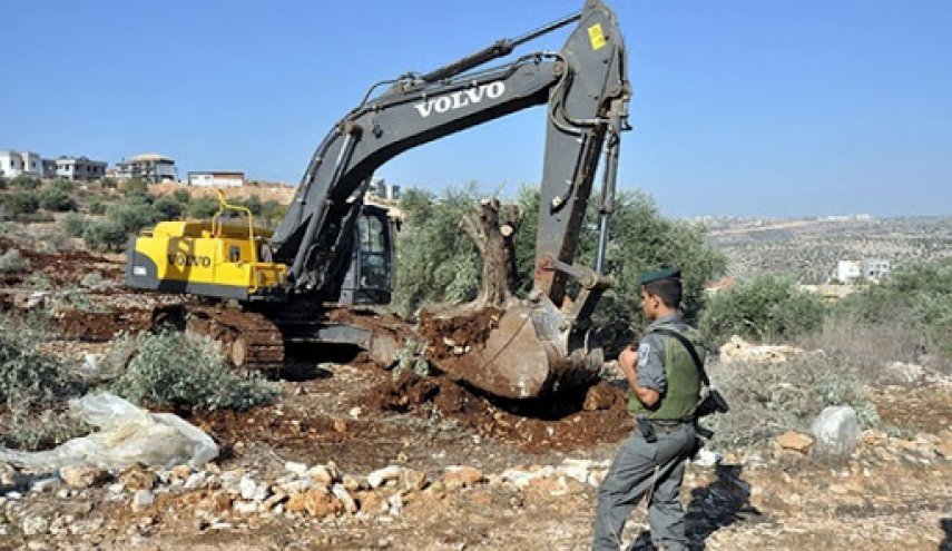 L’occupation ravage les terres des citoyens à Naplouse