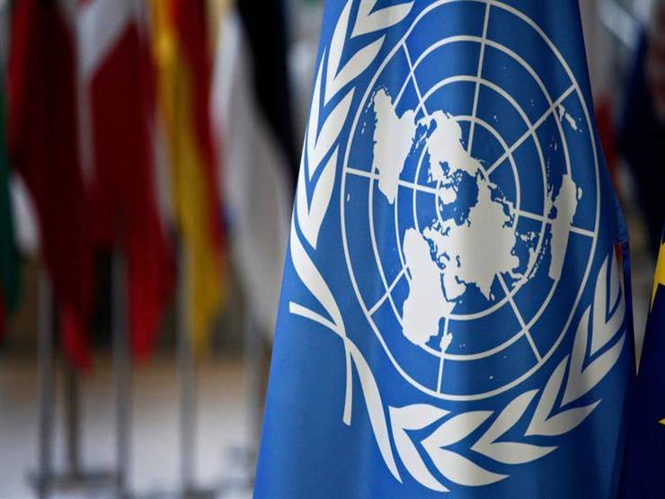 La Quatrième Commission de l'Assemblée générale de l'ONU, vote en faveur de la Palestine