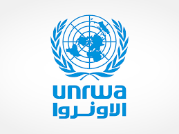 L'UNRWA condamne l'assassinat de quatre de ses étudiants par les avions d'occupation à Gaza et appelle à la protection internationale