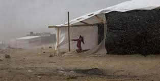L'UNRWA prévient que des centaines de milliers de citoyens de Gaza sont exposés au danger du froid