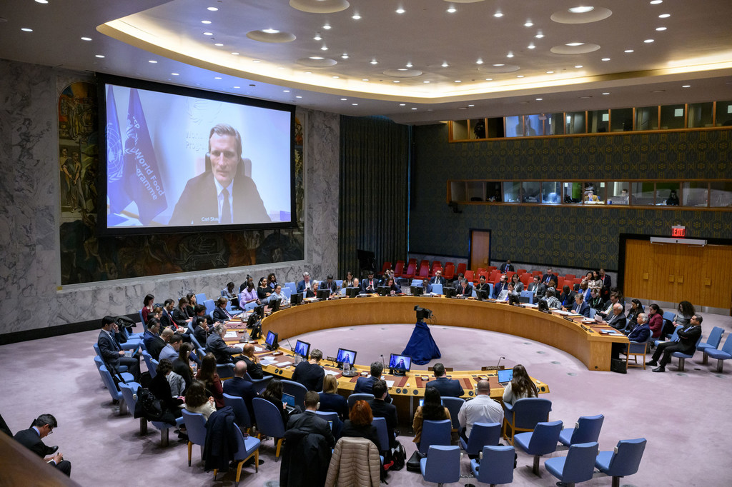 Des responsables de l'ONU devant le Conseil de sécurité : un quart de la population de Gaza est à un pas de la famine