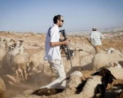 Les colons et les soldats israéliens attaquent les éleveurs de moutons au sud-est de Bethléem