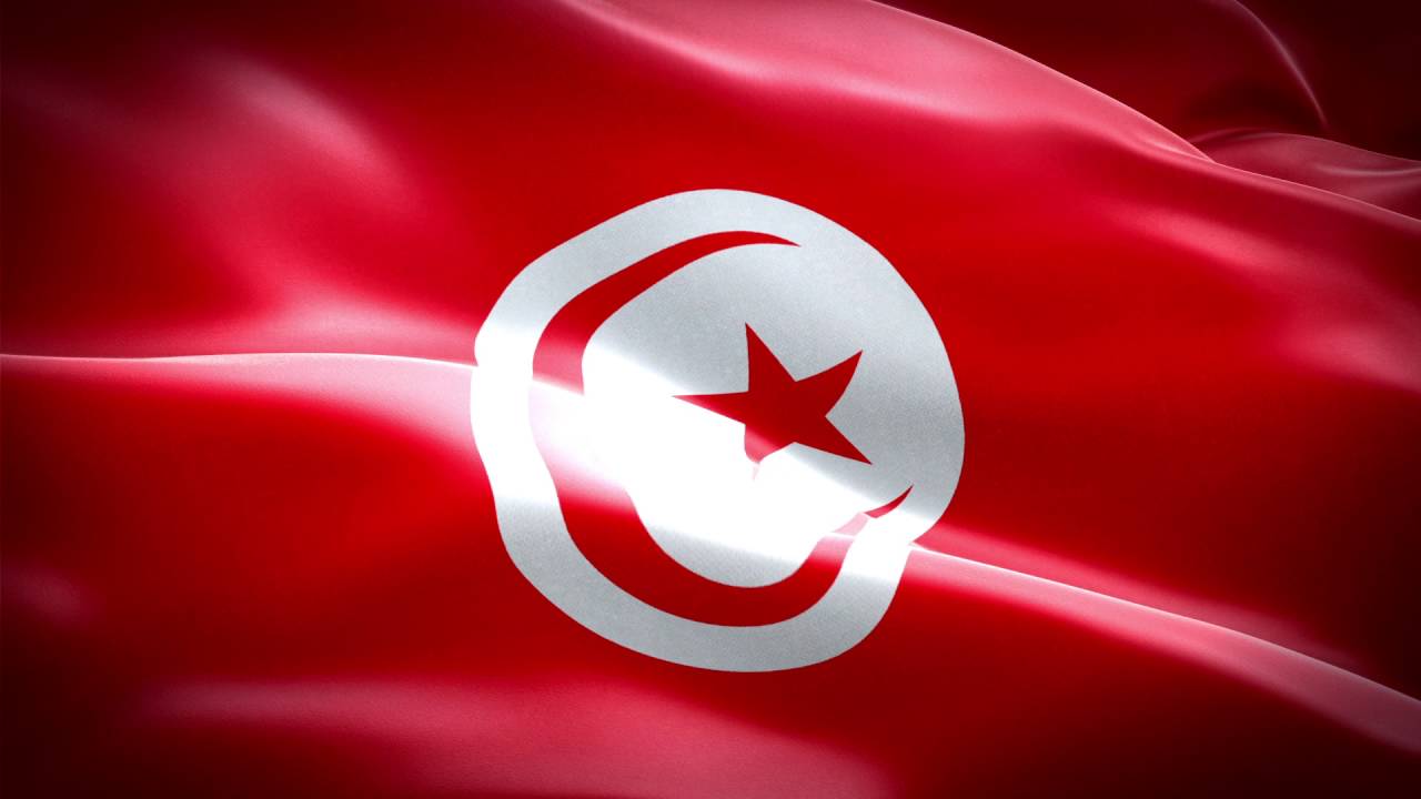 La Tunisie réaffirme son soutien au peuple palestinien et sa question
