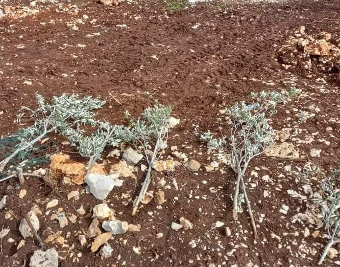 L’occupation balaye des terres à Bethléem