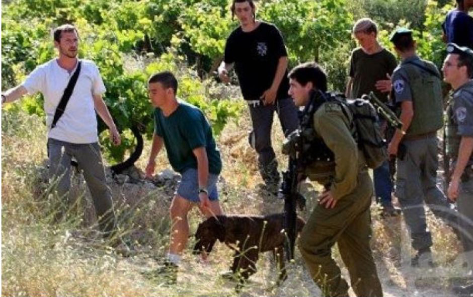 Des colons blessent deux Palestiniens près de Naplouse