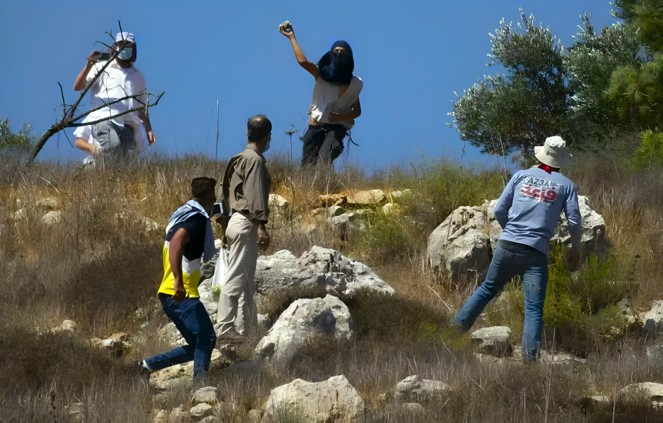 Des colons israéliens forcent les agriculteurs à quitter les oliveraies à Naplouse et agressent des bergers à Hizma