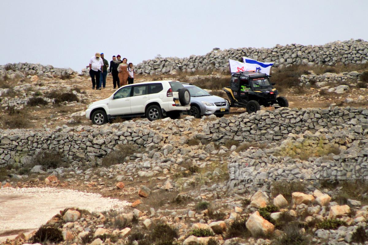 Des colons israéliens font paître leurs vaches près des habitations palestiniennes au nord de Jéricho
