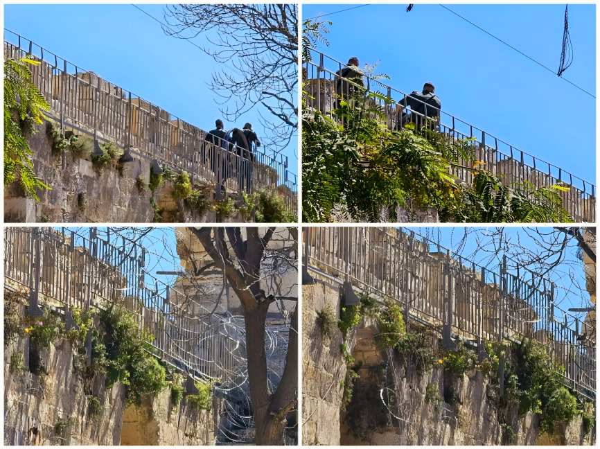 Israël encercle le mur adjacent à la mosquée Al-Aqsa dans la zone de la Porte des Lions avec des fils barbelés