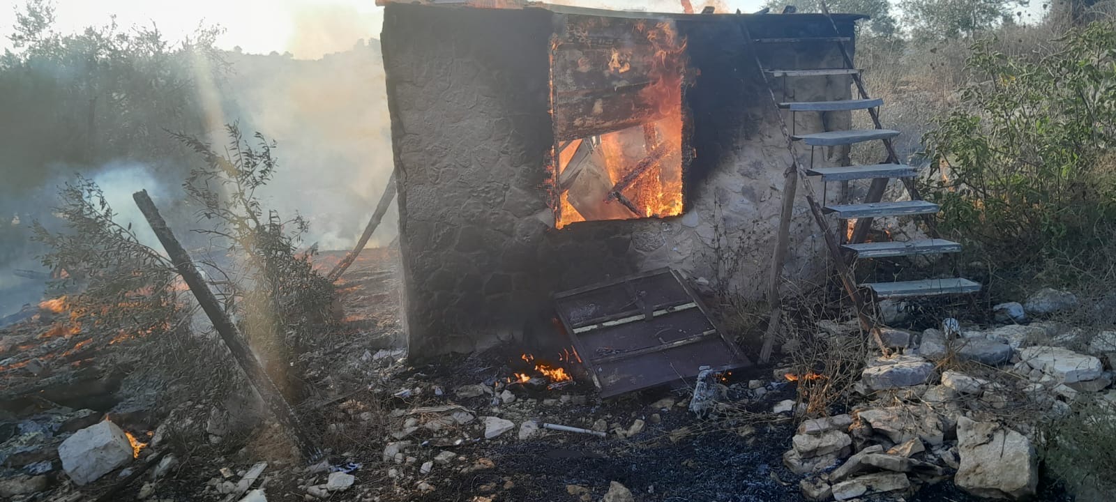 Des colons israéliens brûlent une cabane et des oliviers au sud-ouest de Jénine