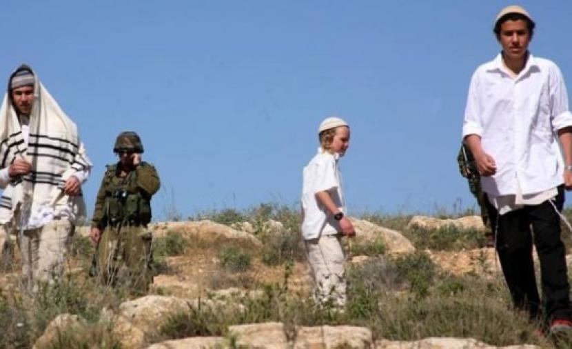 Les colons plantent plus d’arbres sur des terres palestiniennes dans la vallée du Jourdain