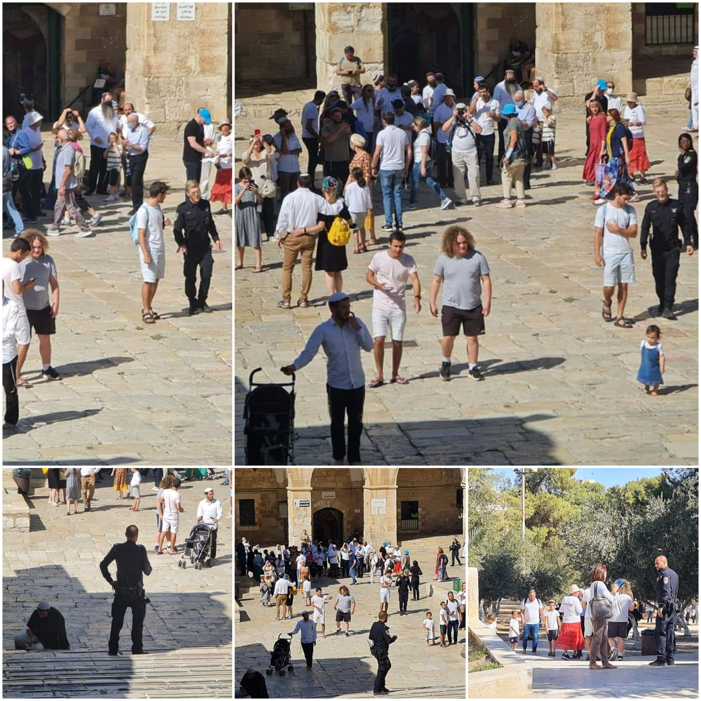 Plus de 600 colons profanent la mosquée sainte d’Al-Aqsa