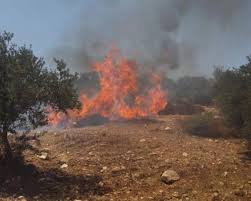 Les colons  incendient des terres agricoles à l'ouest de Ramallah