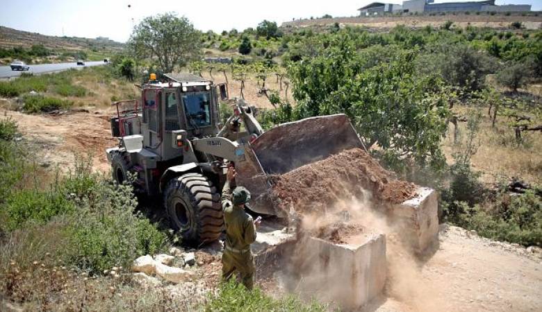 En Cisjordanie: Des cas d'étouffememts, des destructions et des déracinement d'arbres 