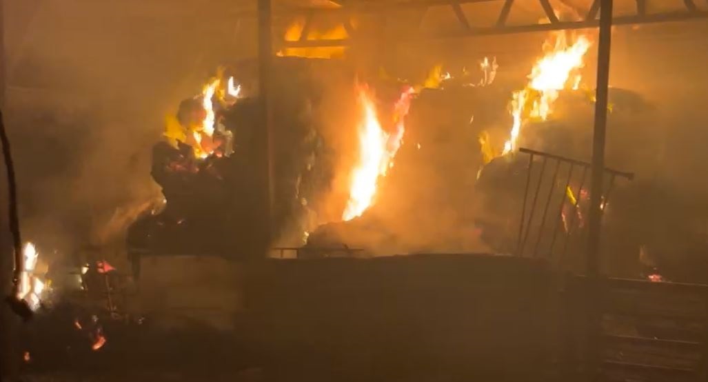 Des colons attaquent des agriculteurs, brûlent des tentes et des baraques à l'est de Bethléem