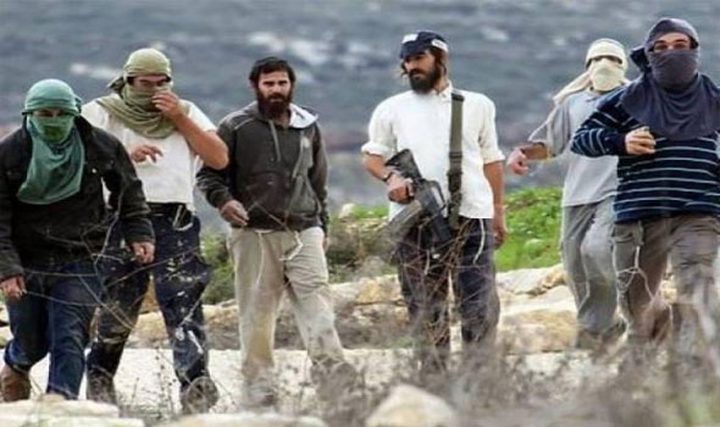 Des colons prennent d'assaut un village à Masafer Yatta et exécutent des rituels talmudiques