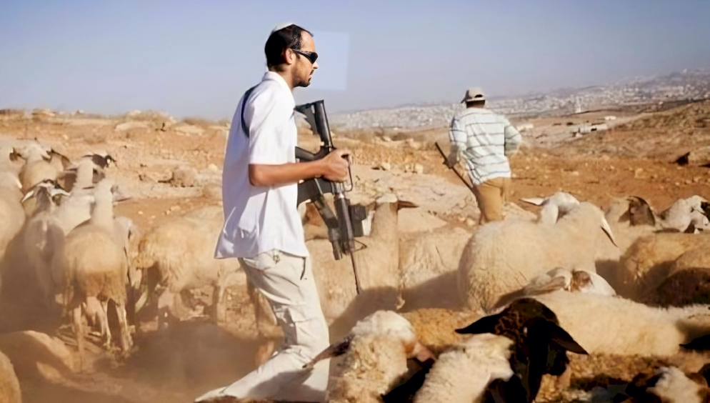 Des colonisateurs israéliens agressent un berger Palestinien à Naplouse 