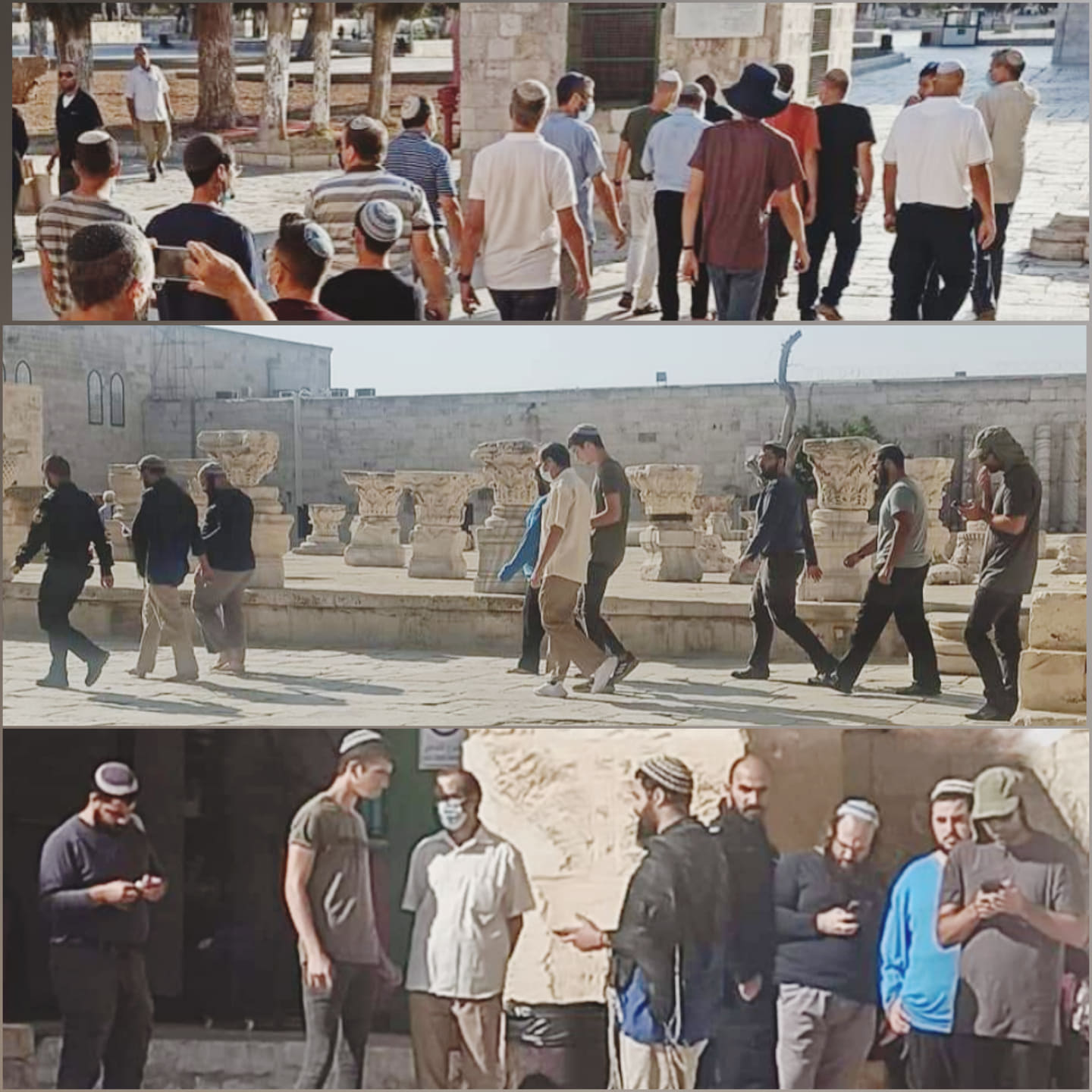 205 colons israéliens s’introduisent dans la mosquée sainte d’Al-Aqsa