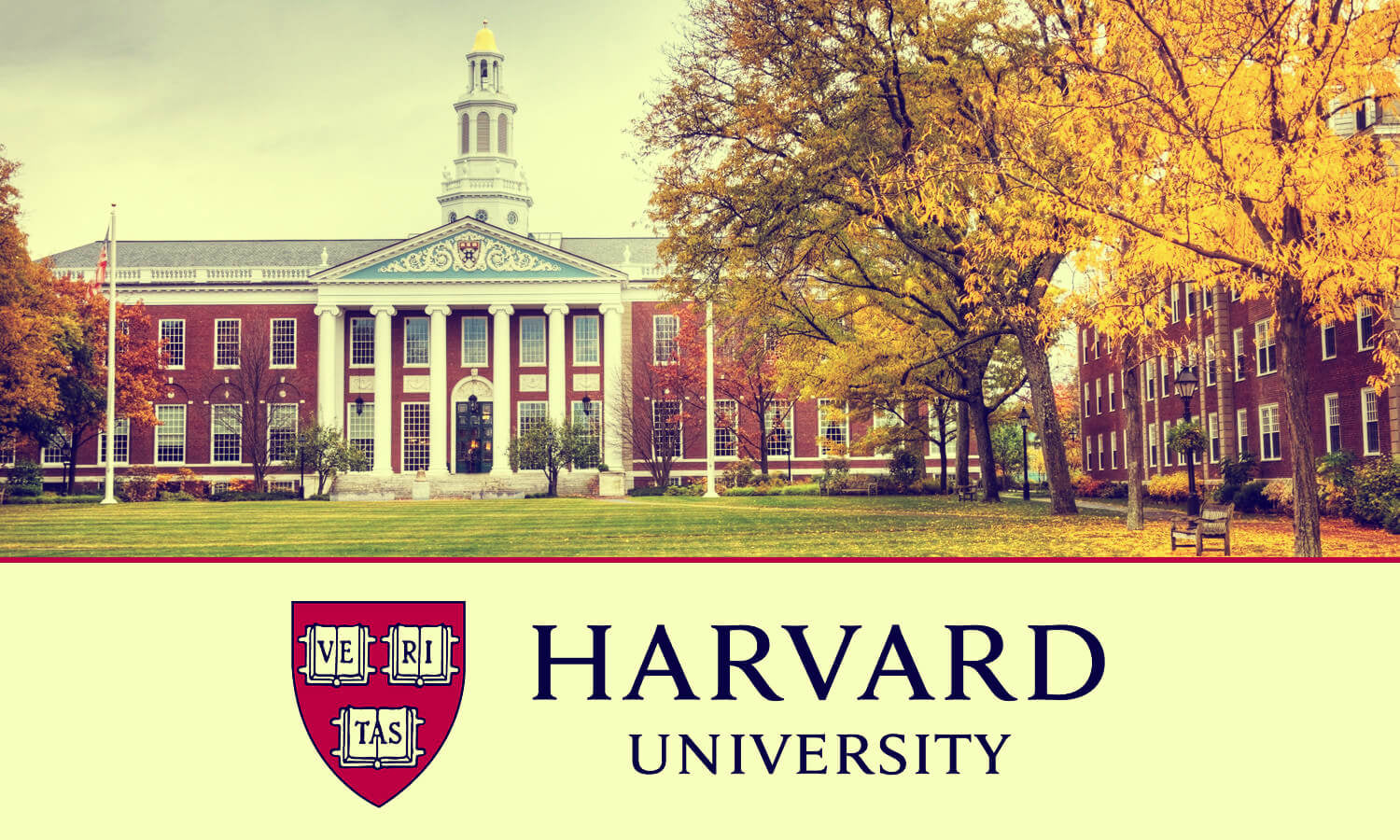 Des dizaines de professeurs de l’Université « Harvard » condamne l’agression israélienne et affirment leur soutien aux Palestiniens