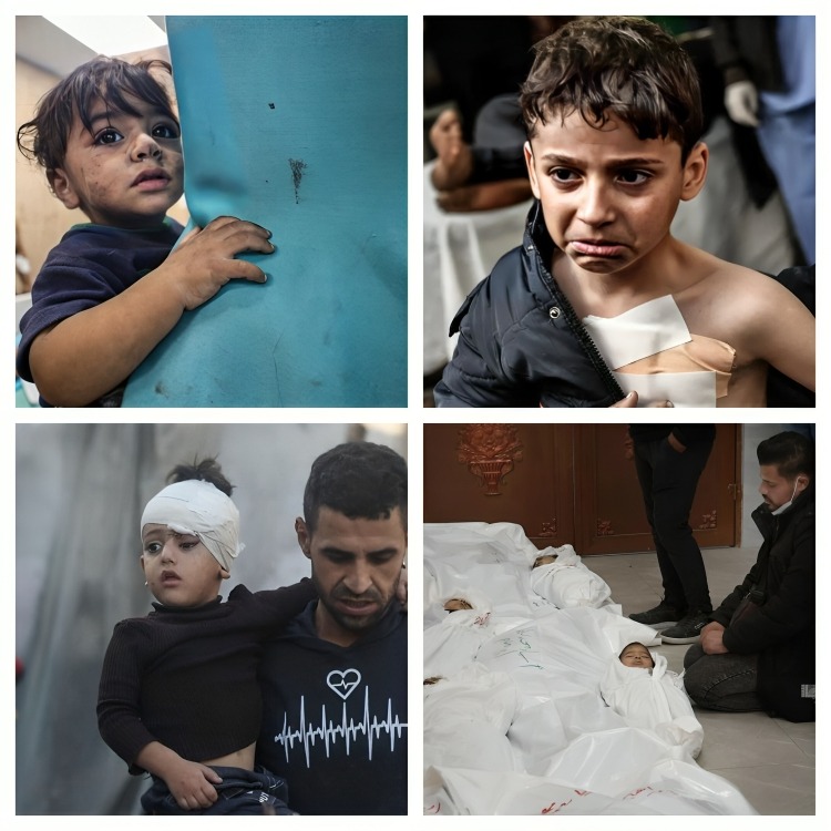 Huit martyrs dans les bombardements israéliens  en cours sur Gaza et Rafah